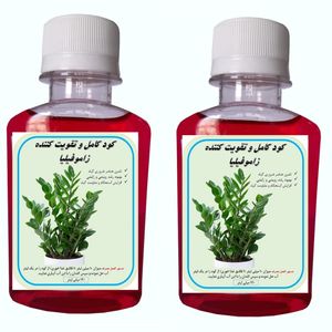 کود کامل تقویت کننده و محرک رشد زاموفیلیا مدل bahar حجم 120 میلی لیتر بسته 2 عددی